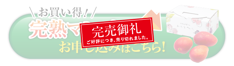 【早割】お買い得！完熟マンゴー（熊本県産）