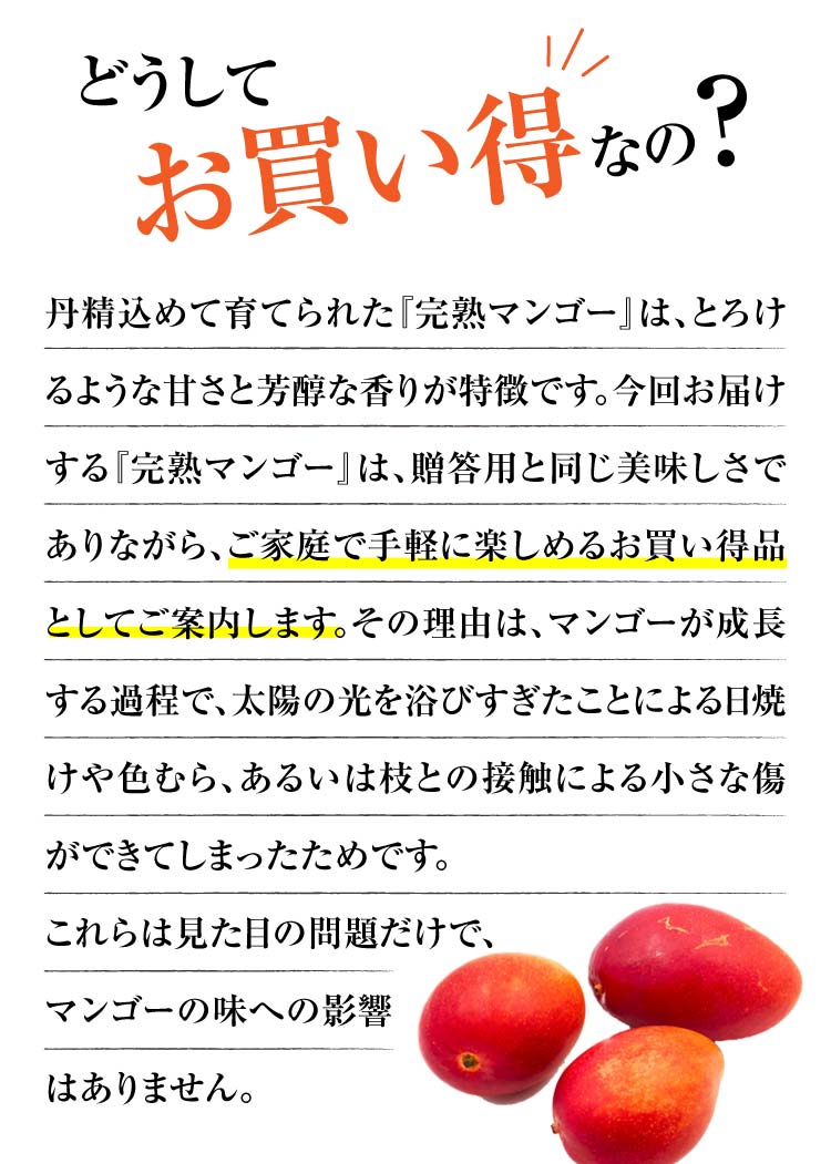 【早割】お買い得！完熟マンゴー（熊本県産）