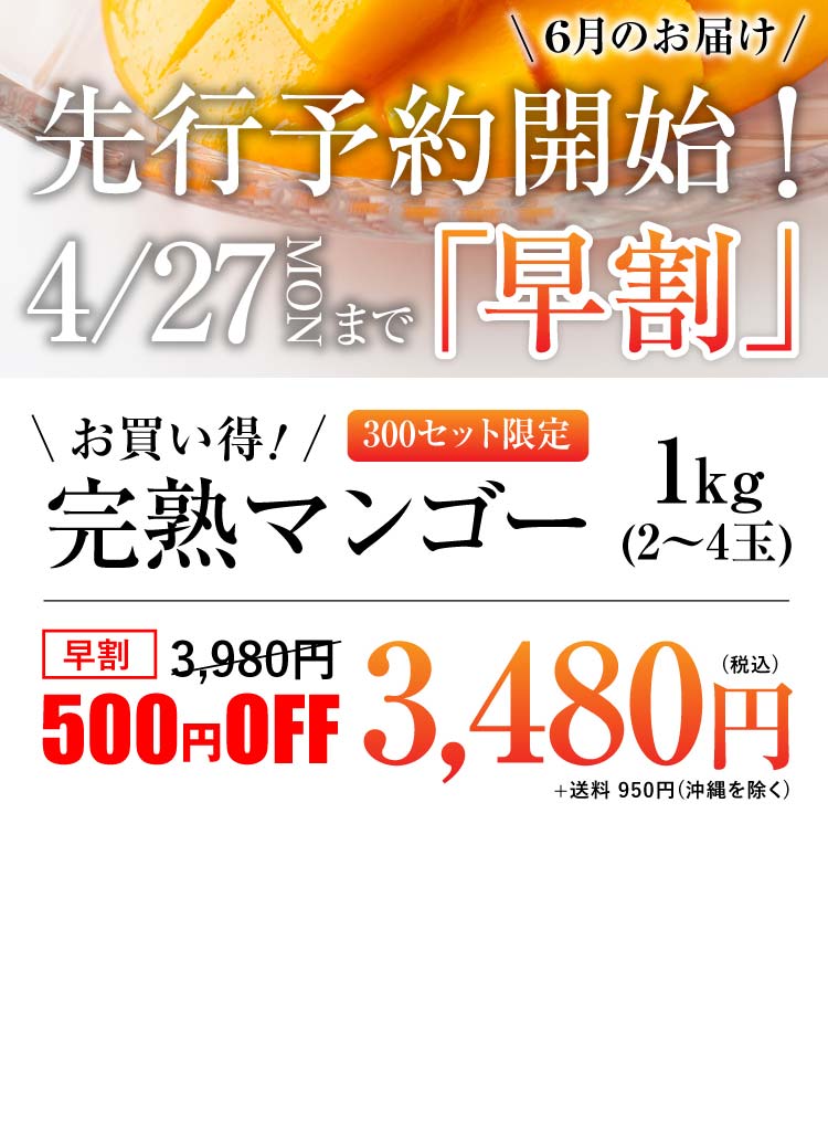 【早割】お買い得！完熟マンゴー（熊本県産）