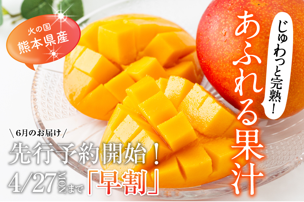 2026年4月13日(月)〜4月27日(月)6月お届け 先行予約開始！【早割】お買い得！完熟マンゴー（熊本県産）