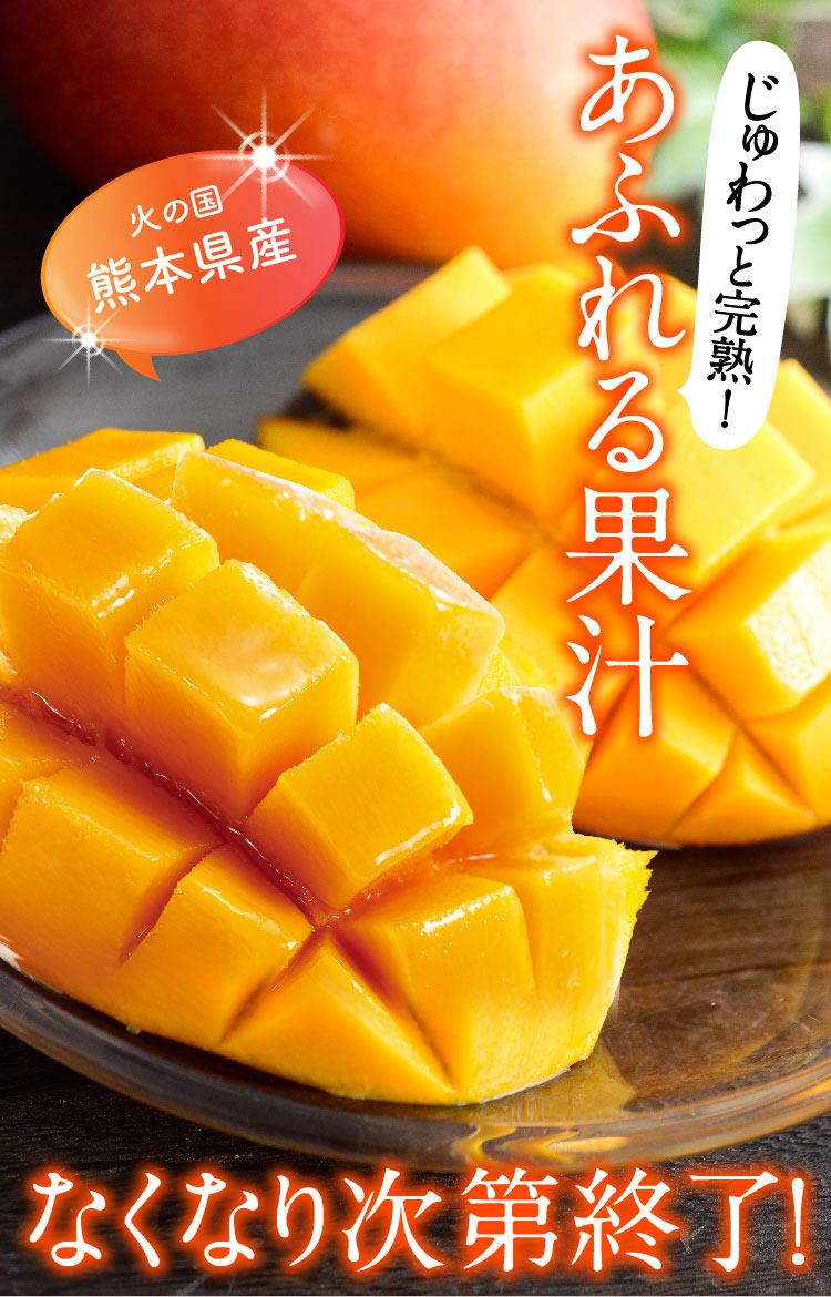 【バイヤー厳選】お買い得！完熟マンゴー（熊本県産）