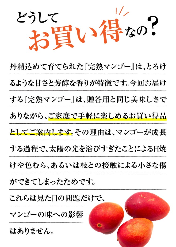 【バイヤー厳選】お買い得！完熟マンゴー（熊本県産）