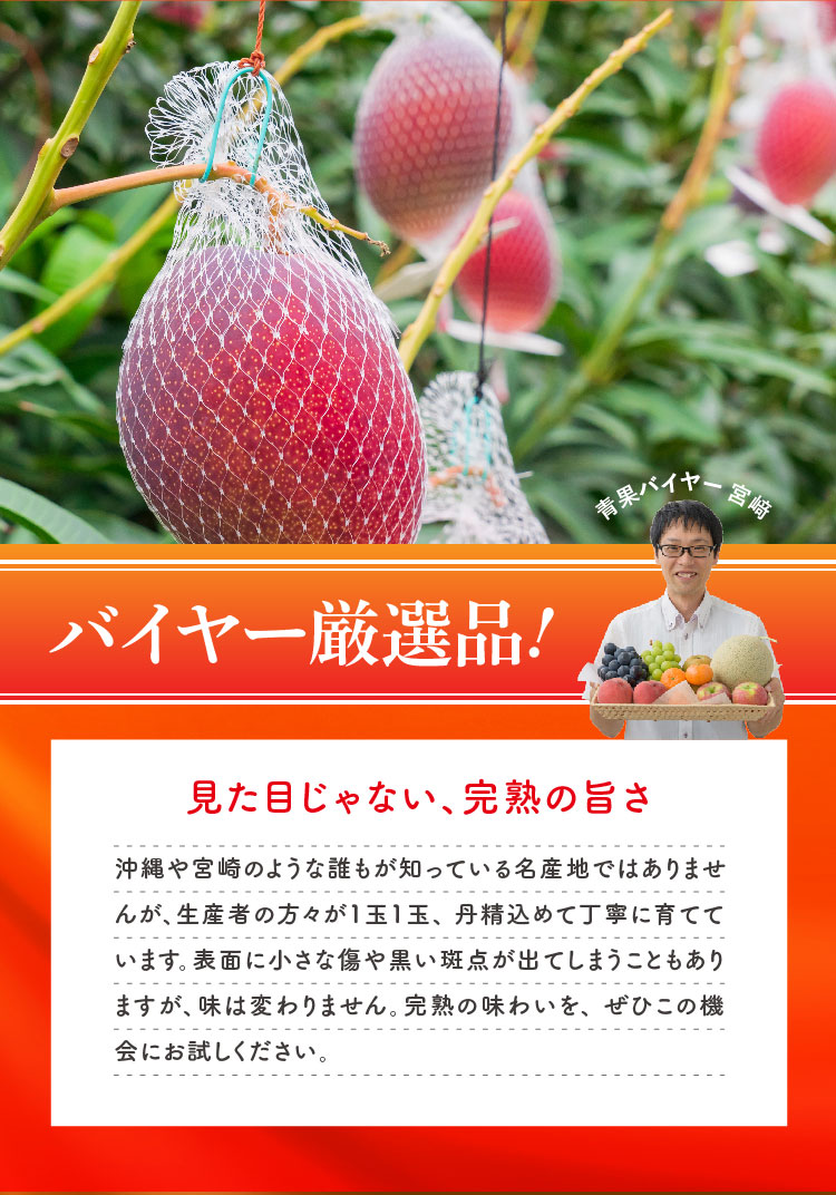 【バイヤー厳選】お買い得！完熟マンゴー（熊本県産）
