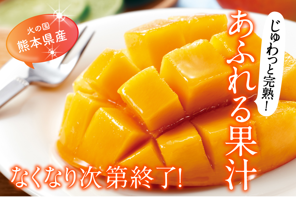 2026年5月4日(月)〜5月18日(月)【バイヤー厳選】お買い得！完熟マンゴー（熊本県産）