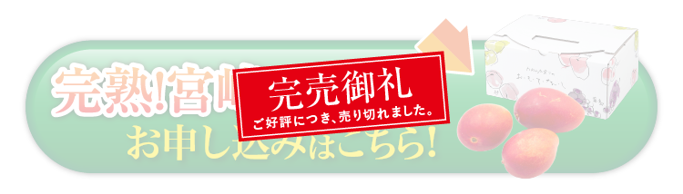 【バイヤー厳選】完熟！宮崎マンゴー（宮崎県産）