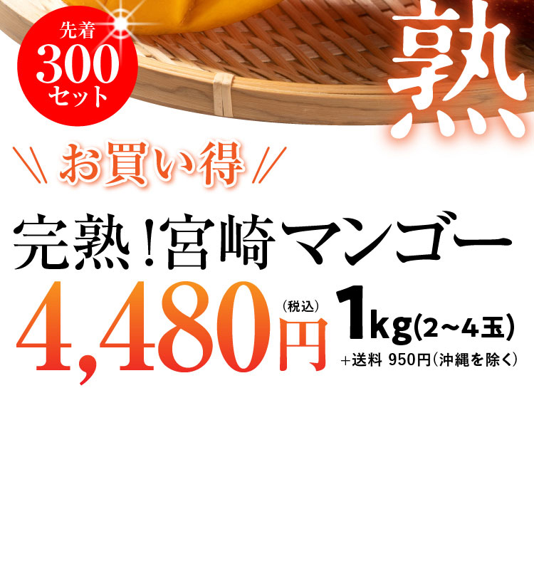 【バイヤー厳選】完熟！宮崎マンゴー（宮崎県産）追加販売