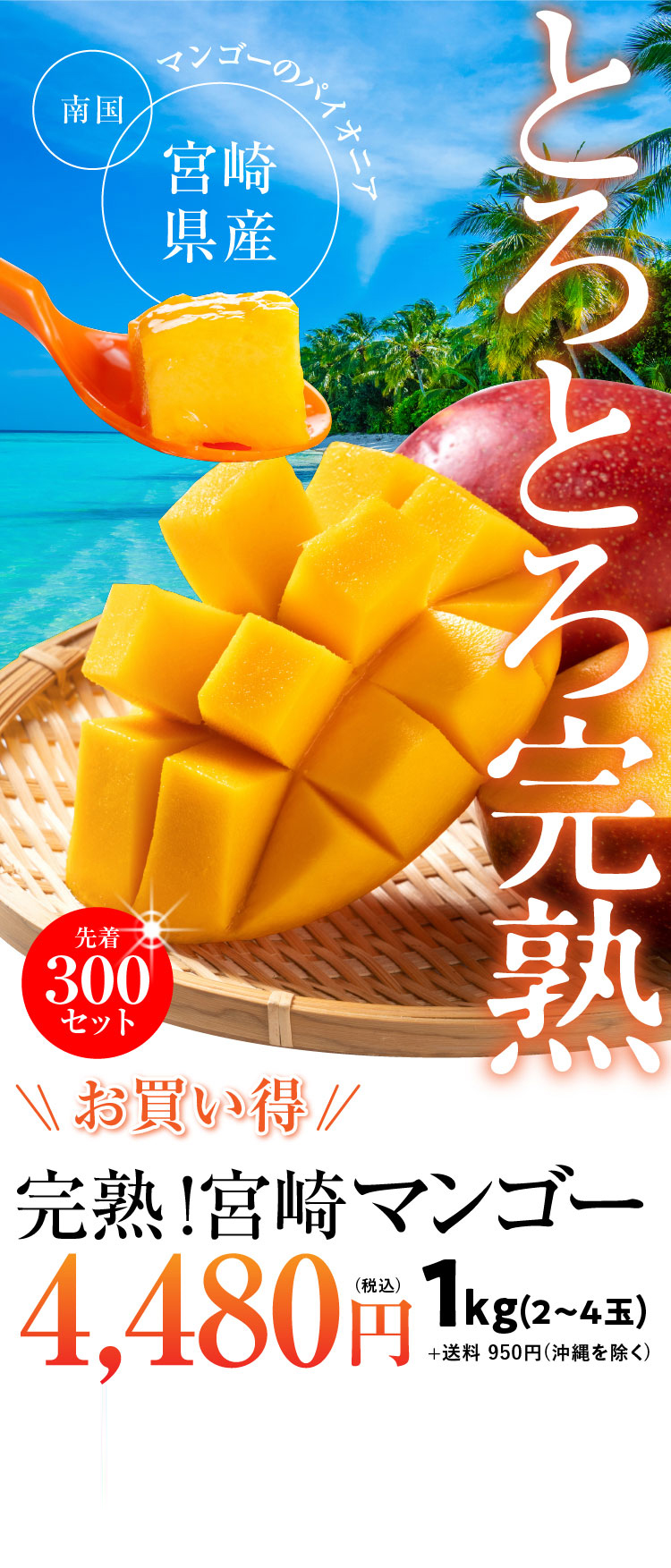 【バイヤー厳選】完熟！宮崎マンゴー（宮崎県産）追加販売