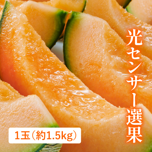 らいでんメロン(北海道産)の商品写真