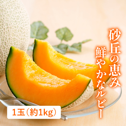 山形砂丘メロン〈赤〉(山形県産)の商品写真