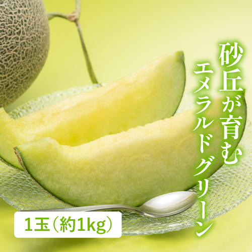 山形砂丘メロン〈青〉(山形県産)の商品写真