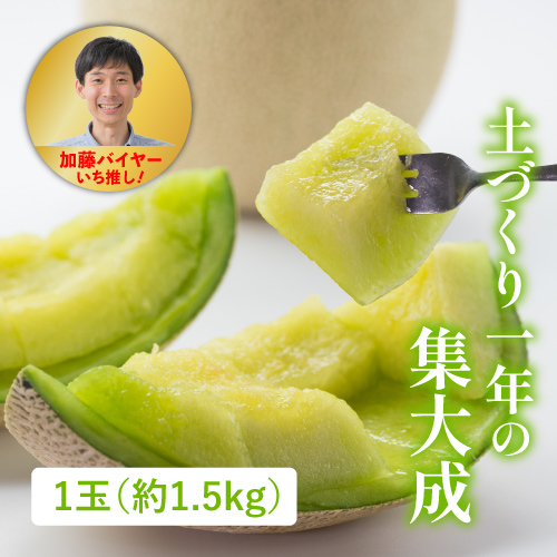 片岡さんの大玉メロン(茨城県産)の商品写真