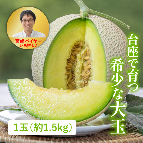 三浦メロン(神奈川県産)の商品写真