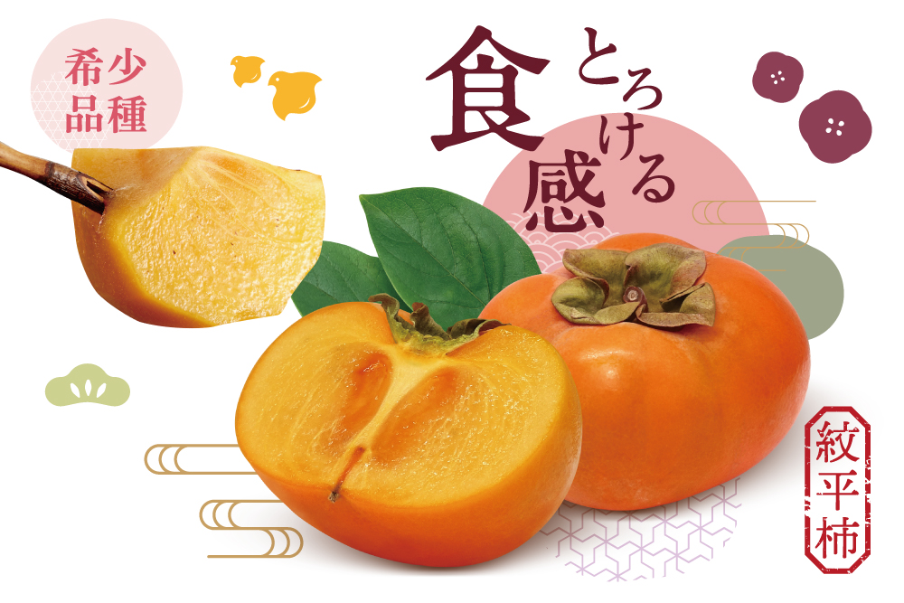 2025年11月3日(月・祝)～11月17日(月)【バイヤー厳選】とろける食感！希少品種 紋平柿（石川県産）