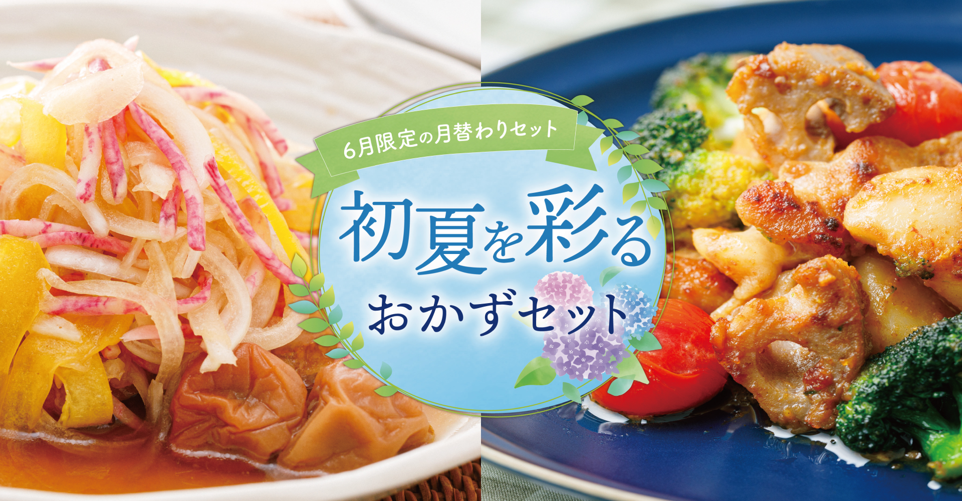 【6月限定の月替わりセット】初夏を彩るおかずセット