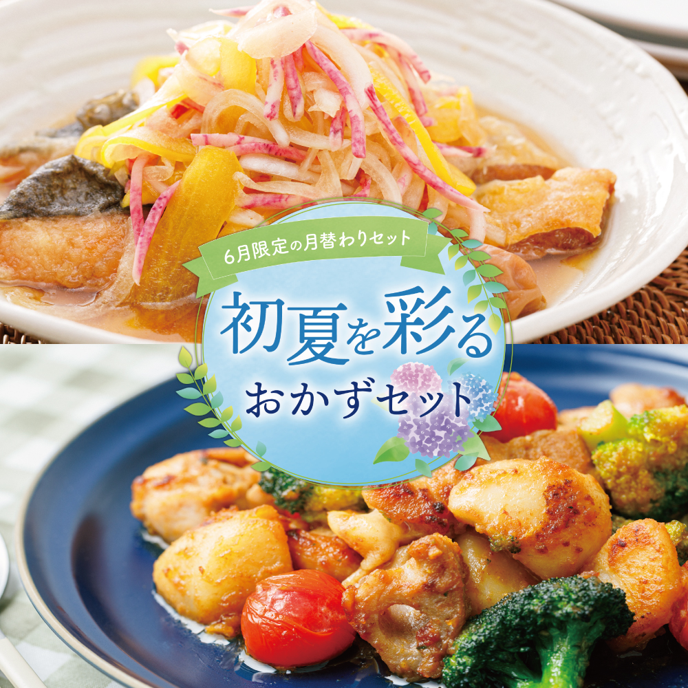 【6月限定の月替わりセット】初夏を彩るおかずセット