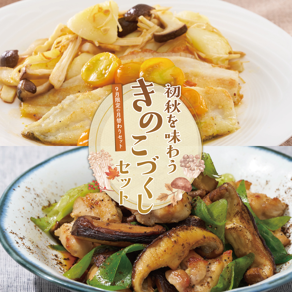 【9月限定の月替わりセット】初秋に味わう きのこづくしセット