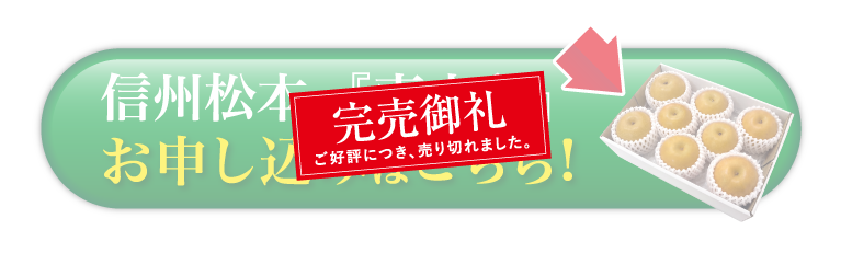 【バイヤー厳選】信州松本の『南水梨』（長野県産）