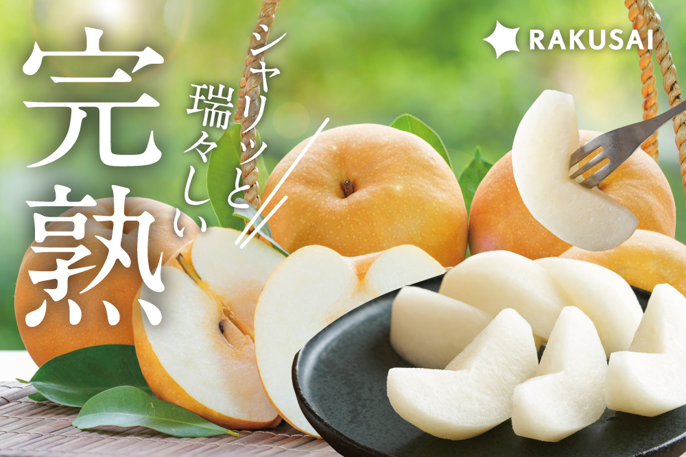 2026年9月7日(月)〜9月21日(月)【バイヤー厳選】シャリっと瑞々しい！信州松本の『南水梨』（長野県産）