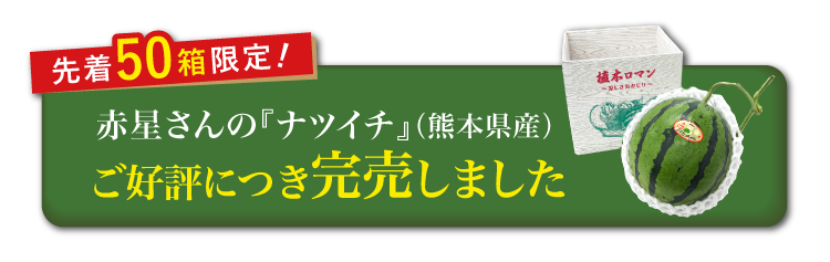 【産地直送】赤星さんのすいか『ナツイチ』（熊本県産）