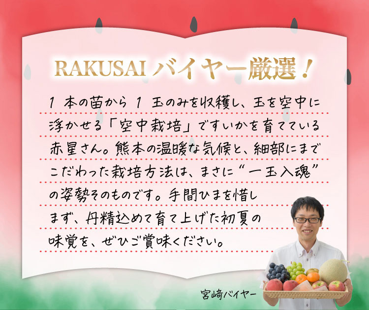 【産地直送】赤星さんのすいか『ナツイチ』（熊本県産）