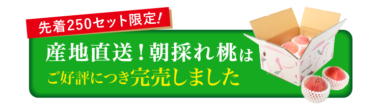 【産地直送】平均糖度14度以上！極上の食感！朝採れ桃〈白桃系〉（山梨県産）