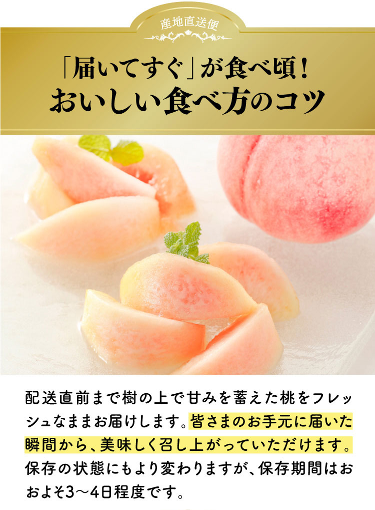 【産地直送】平均糖度14度以上！極上の食感！朝採れ桃〈白桃系〉（山梨県産）