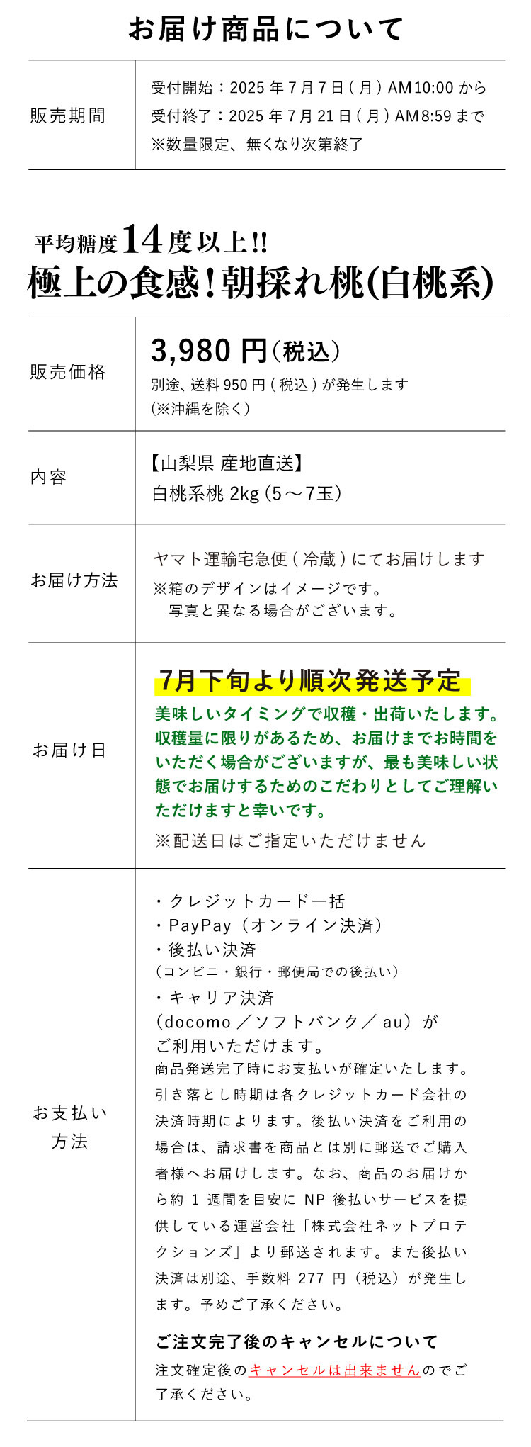 【産地直送】平均糖度14度以上！極上の食感！朝採れ桃〈白桃系〉（山梨県産）