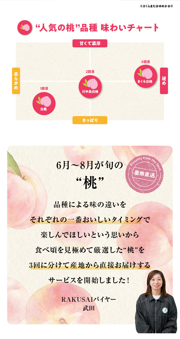 【産地直送】Playest JAPANさんが作る『朝採れ桃 食べ比べ』3回セット（山梨県産）