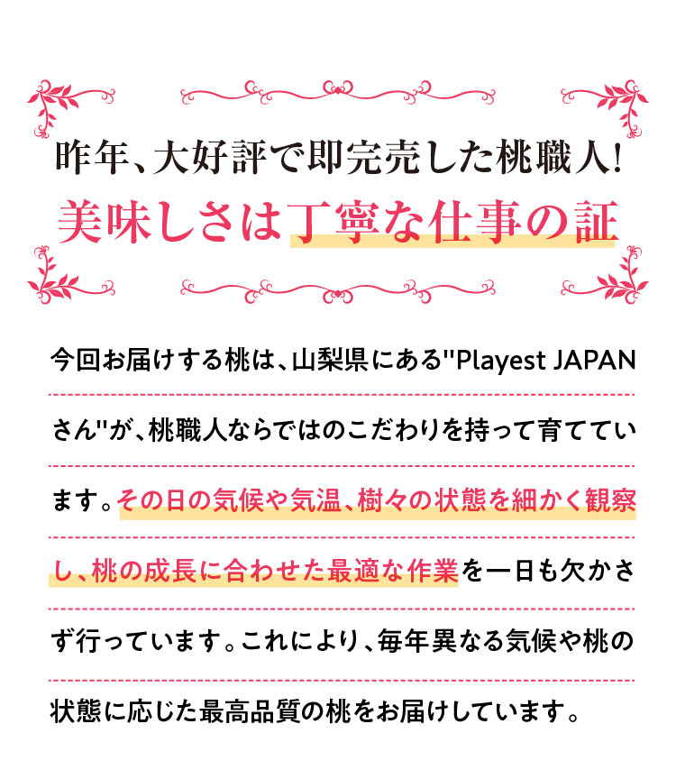 【産地直送】Playest JAPANさんが作る『朝採れ桃 食べ比べ』3回セット（山梨県産）