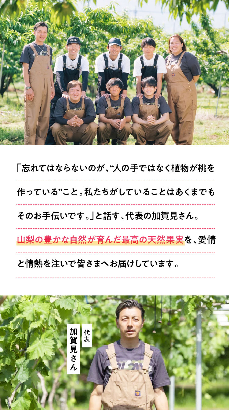 【産地直送】Playest JAPANさんが作る『朝採れ桃 食べ比べ』3回セット（山梨県産）