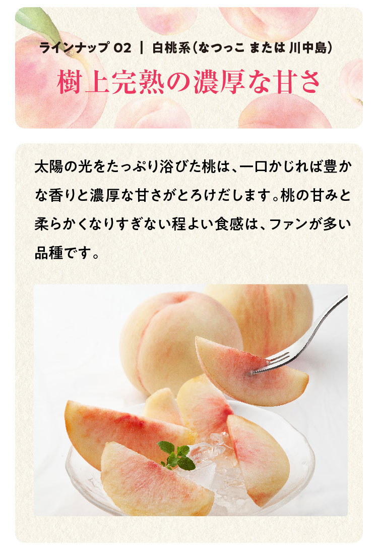 【産地直送】Playest JAPANさんが作る『朝採れ桃 食べ比べ』3回セット（山梨県産）