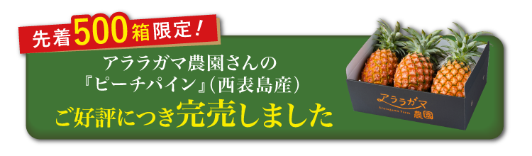 【産地直送】アララガマ農園さんの『ピーチパイン』（西表島産）