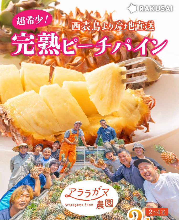 【産地直送】アララガマ農園さんの『ピーチパイン』（西表島産）