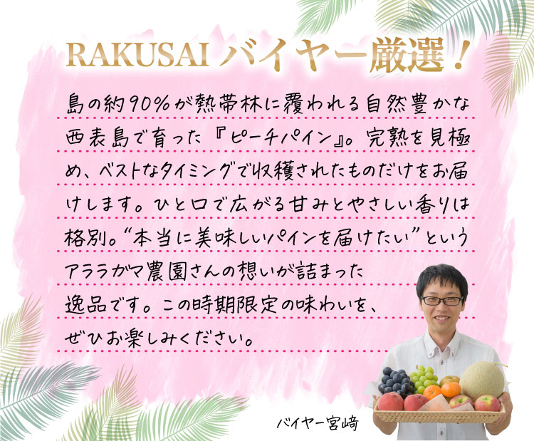 【産地直送】アララガマ農園さんの『ピーチパイン』（西表島産）