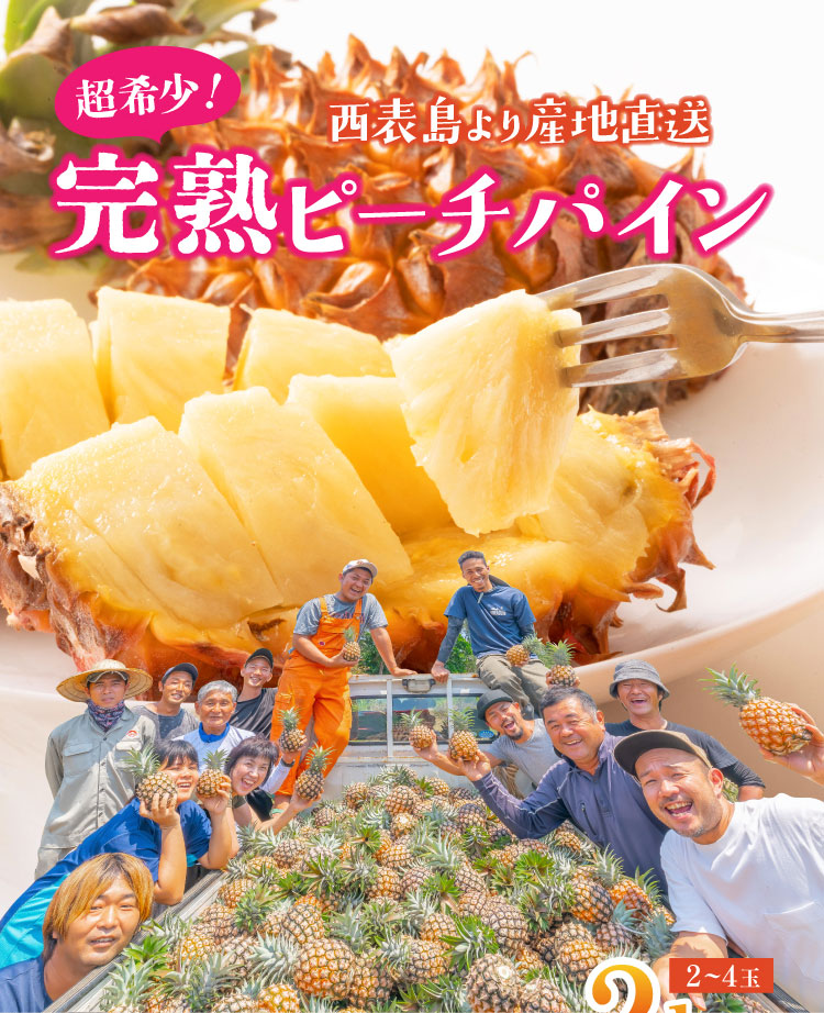 【産地直送】アララガマ農園さんの『ピーチパイン』（西表島産）