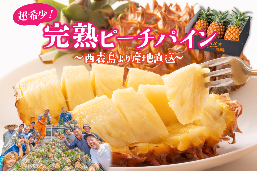 2026年5月11日(月)〜5月25日(月)【産地直送】アララガマ農園さんの『ピーチパイン』（西表島産）