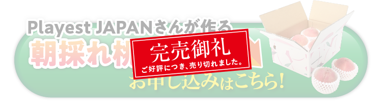 【産地直送】Playest JAPANさんが作る『朝採れ桃（白鳳系）』（山梨県産）