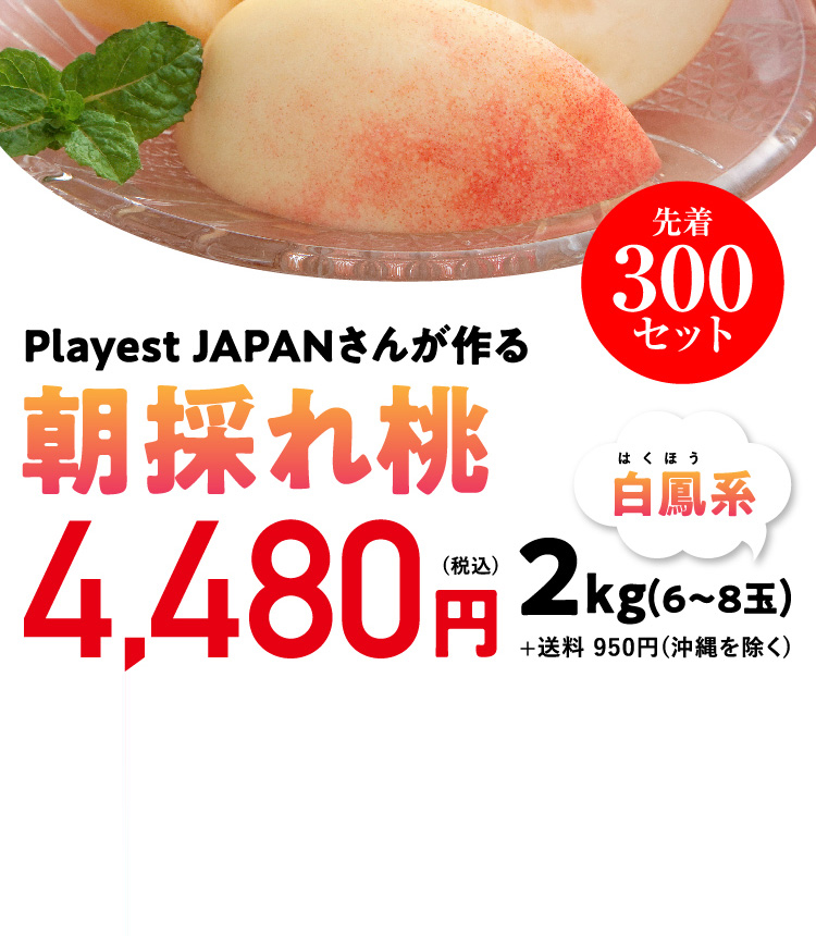 【産地直送】Playest JAPANさんが作る『朝採れ桃（白鳳系）』（山梨県産）
