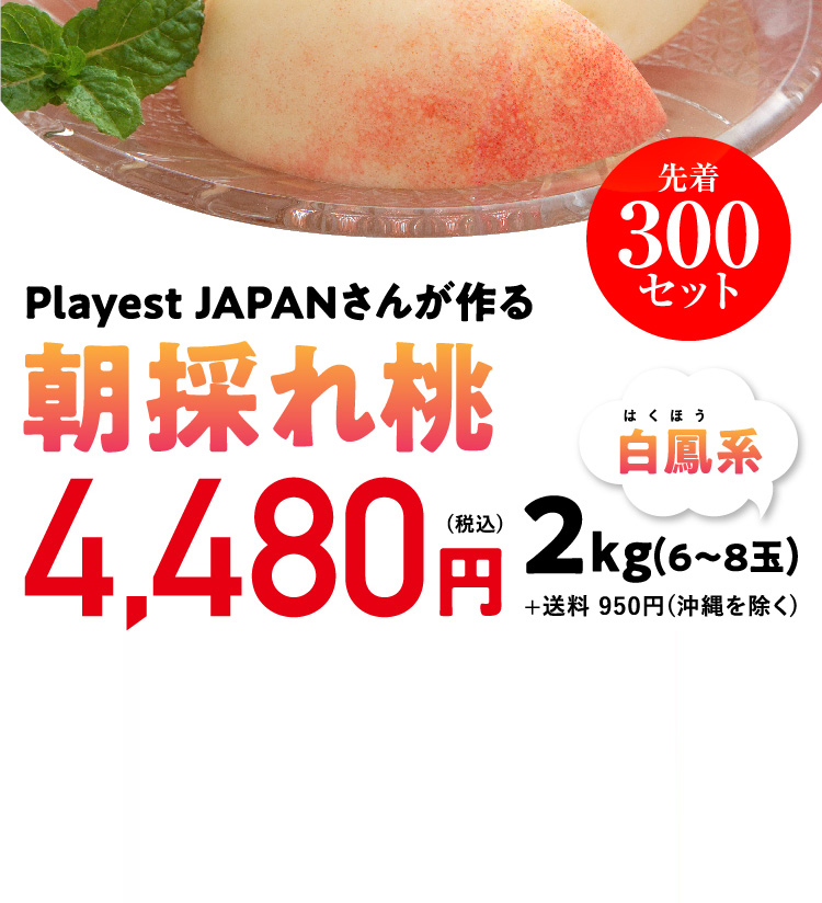 【産地直送】Playest JAPANさんが作る『朝採れ桃（白鳳系）』（山梨県産）