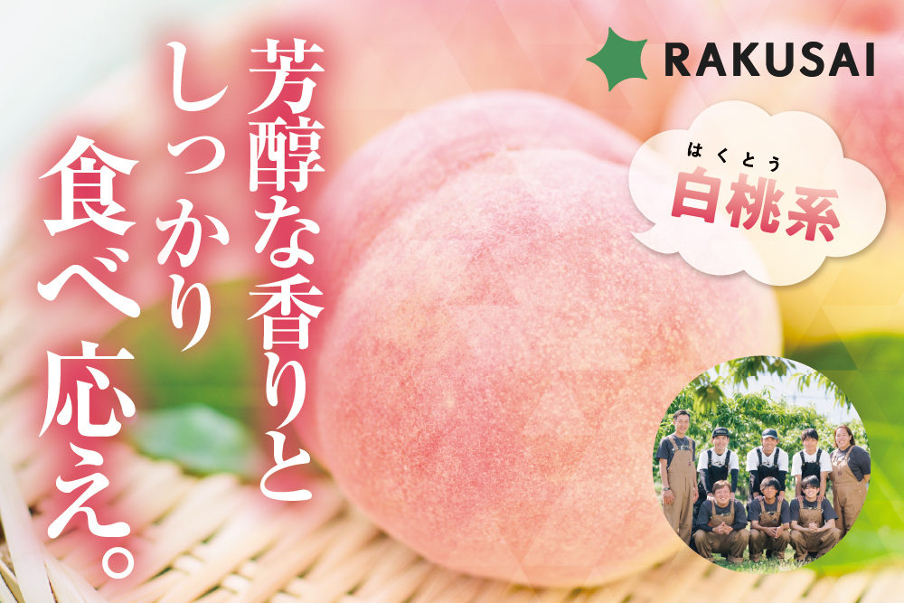 2026年6月29日(月)〜7月13日(月)【産地直送】PlayestJAPANさんが作る『朝採れ桃（白桃系）』（山梨県産）