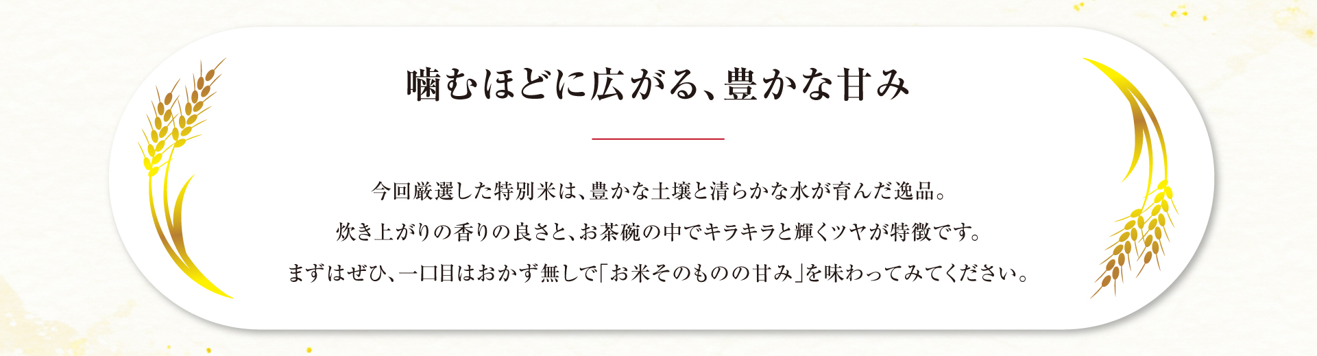 岸本さんのお米フェア2026春