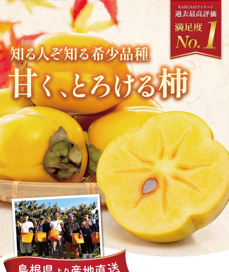 【産地直送】柿壺さんの『西条柿』（島根県産）