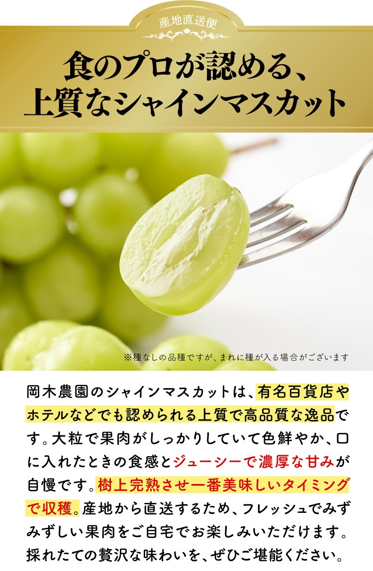 【産地直送】採れたて！岡木農園さんの至高のシャインマスカット（長野県産）