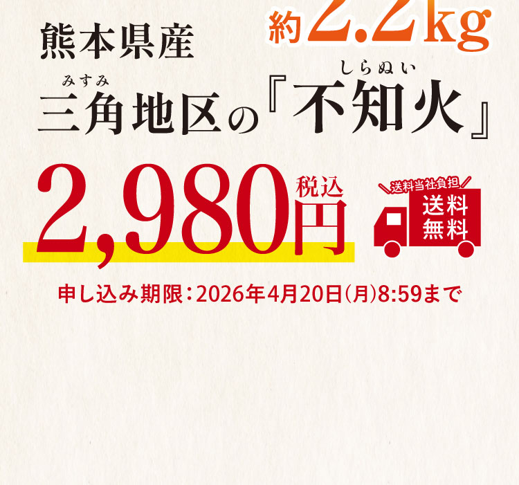 【バイヤー厳選】三角地区の『不知火（しらぬい）』（熊本県産）