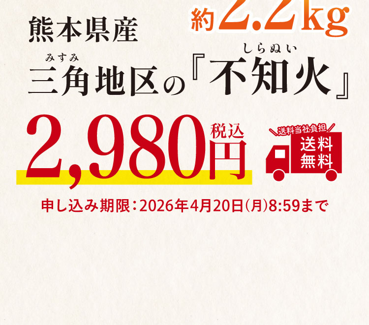【バイヤー厳選】三角地区の『不知火（しらぬい）』（熊本県産）