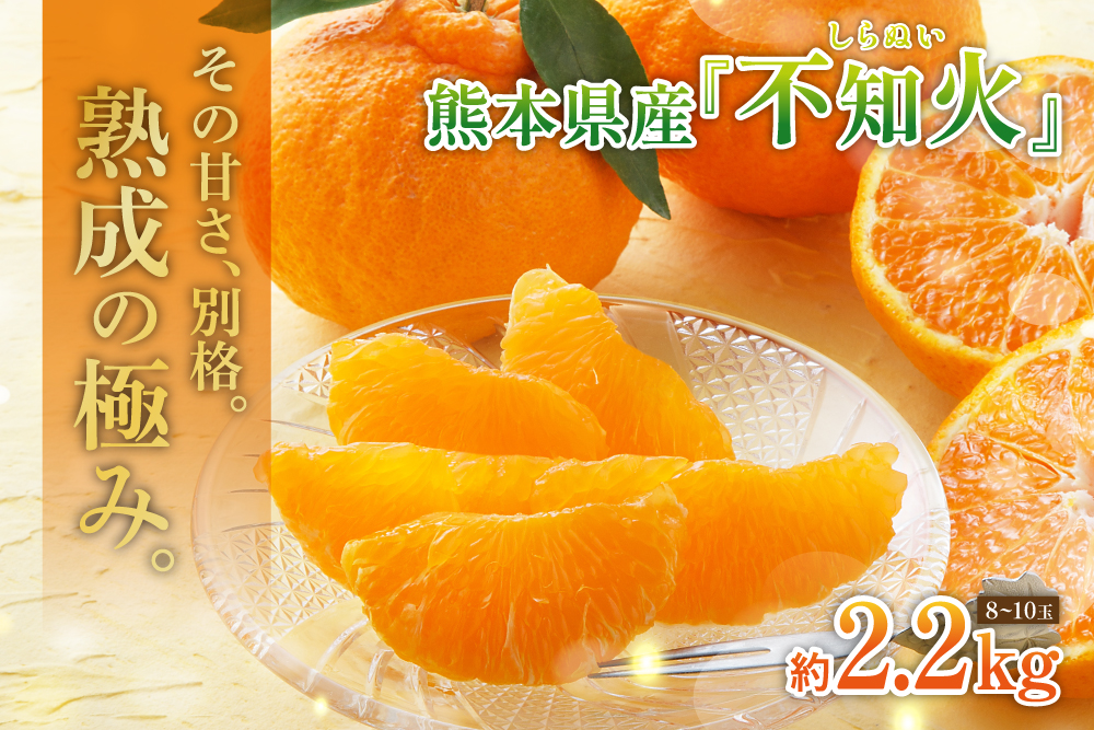 2026年4月6日(月)〜4月20日(月)【バイヤー厳選】三角地区の『不知火（しらぬい）』（熊本県産）