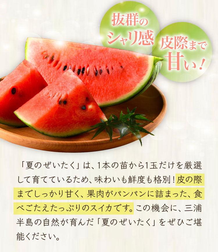 【バイヤー厳選】蛭田さんの大玉スイカ「夏のぜいたく」（神奈川県産）