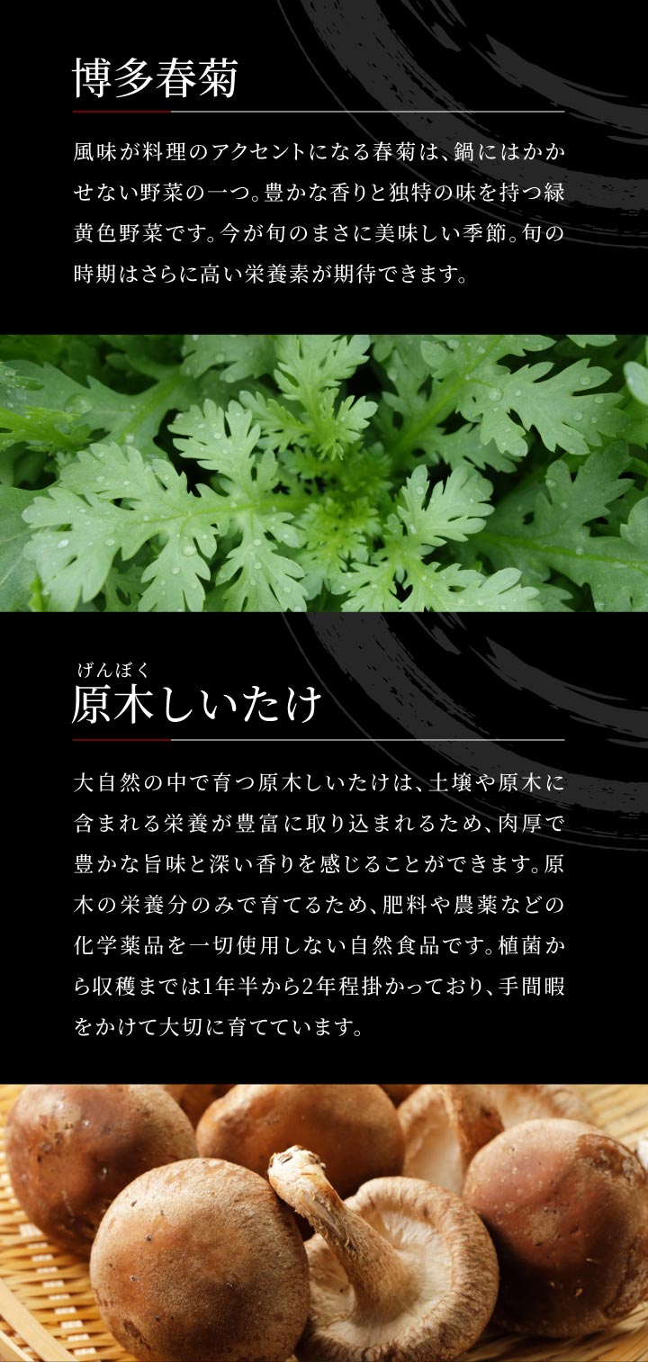 黒毛和牛と厳選野菜のすき焼きセット