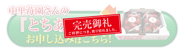 【産地直送】中里苺園さんの『とちあいか』（栃木県産）