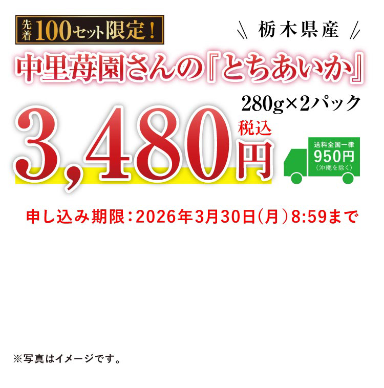 【産地直送】中里苺園さんの『とちあいか』（栃木県産）
